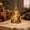 Multicolor 01, variant on Christmas Nativity Scene Warm Glowing Acrylic Tree Shape Ornament - Holy Family Hanging Pendant with Golden Rope for Christmas Tree Window Fireplace Wall Religious Gift