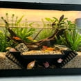 thumbnail image 6 of Long Aquarium Fish Tunnel Cave Decoration, Two Hole Plastic Hideaway Shelter For Betta Fish Shrimp Small Aquatic Pets Viewing Tube Aquascaping Ornament Tank Landscape Decor, 6 of 6