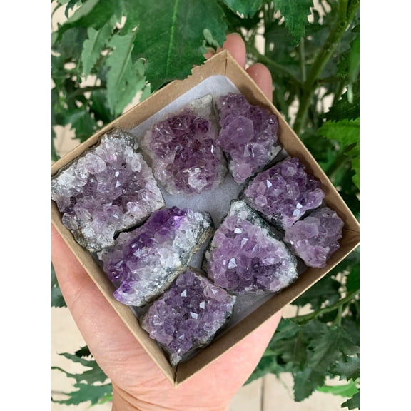 Raw Amethyst Cluster Druzy Collection Box: 6 - 8 oz Box Lot, Natural Amethyst