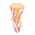 thumbnail image 2 of Seajelly Toy,Educational Children Seajelly Toy Sea Creatures Toy Sea Creatures Model Cutting-Edge Features, 2 of 8