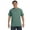 LIGHT GREEN, variant on Comfort Colors Adult Heavyweight RS T-Shirt - C1717