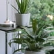 thumbnail image 2 of Maceta con múltiples agujeros bandejas macetas para plantas de interior Yuarrent plástico Blanco, 2 of 6