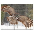 thumbnail image 1 of Bird Photo Ceramic Tile Mural Kitchen Backsplash Bathroom Shower, 404079-S54, 1 of 9