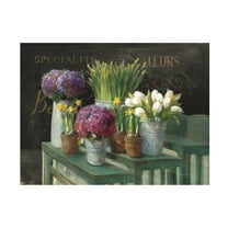 Trademark Fine Art Danhui Nai Les Fleurs Printemps On Black Canvas Wall Art - 24x32