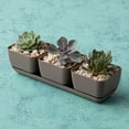 thumbnail image 2 of Root & Vessel Majestic Herb & Succulent Trio Planter, Taupe, 2 of 4
