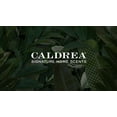 thumbnail image 3 of Caldrea Dish Soap, Ginger Pomelo, 16 Oz, 3 of 28