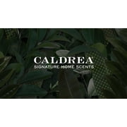 Caldrea Dish Soap, Ginger Pomelo, 16 Oz