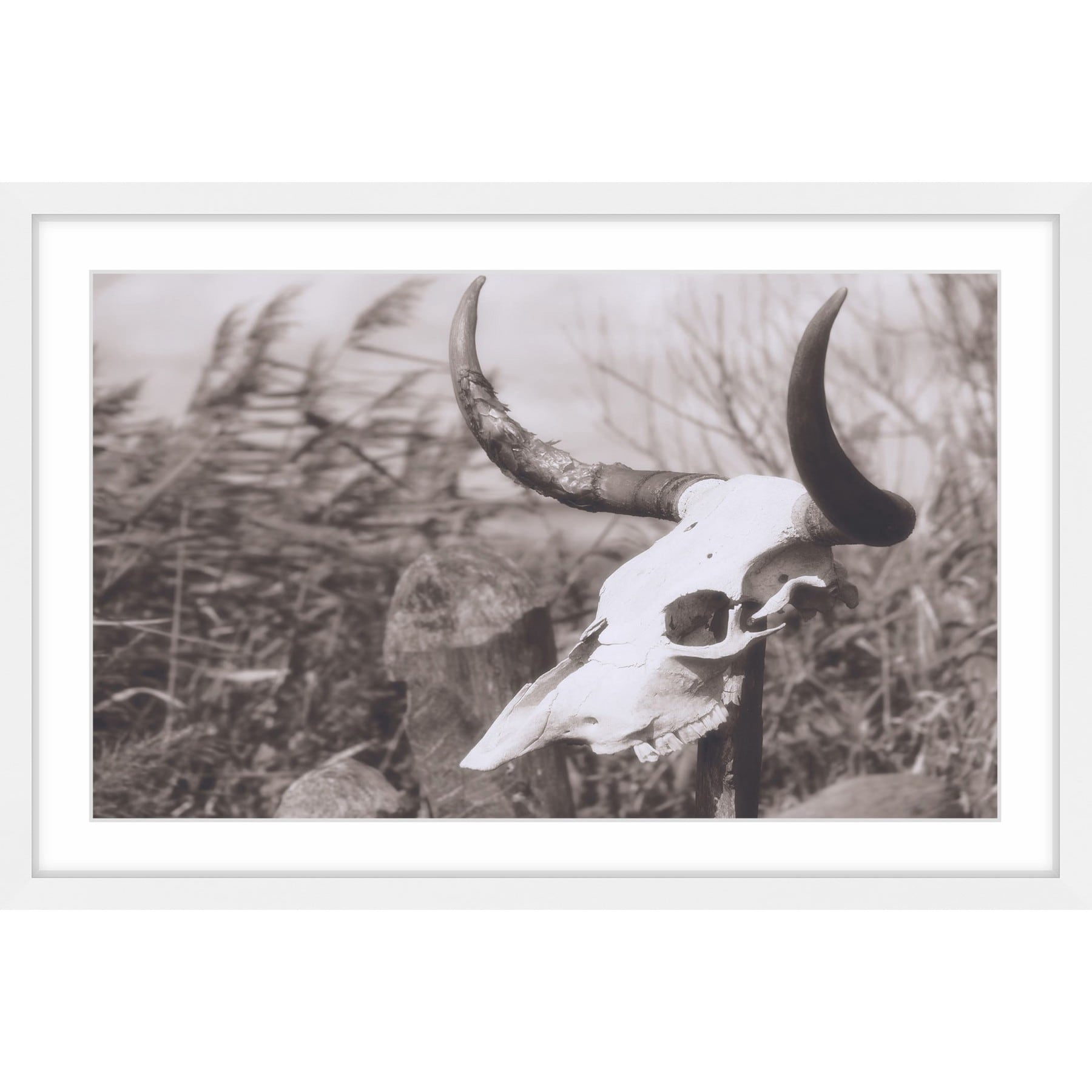 Marmont Hill "Deserted Skull" Framed Painting Print