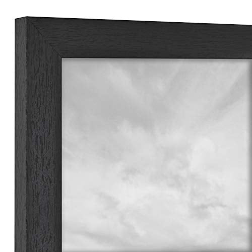 Woodgrain MCS Black 8x8 Inch Studio Gallery Frame 2-Pack 