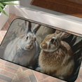 thumbnail image 4 of ONETECH Rabbits Beatrix Potter Square Door Mat Indoor/Outdoor/Front Door/Bathroom Mats for Home Entrance Outside Entry 19.68*39.37 in, 4 of 6