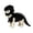 Black, variant on Halloween Dinosaur Skeleton Dog , Plush Pet Dino Cosplay Outfit with Headpiece, Cute Fancy Dress for Small Medium Dogs, for Halloween Party Holiday Photo Props