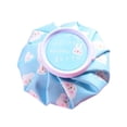 thumbnail image 1 of Bolsa pa de agua caliente, paquete reutilizable de doble pa tículos del , menstruales Perro Zulema Botella Fría Caliente, 1 of 8