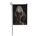 thumbnail image 1 of SIDONKU Blue Fiction Aliens Gray Extraterrestrial Roswell Garden Flag Decorative Flag House Banner 12x18 inch, 1 of 1