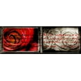 thumbnail image 2 of Willow, Susan P. 32x14 White Modern Wood Framed Museum Art Print Titled - Letter and Roses, 2 of 4
