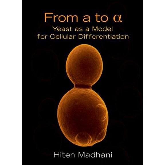 Pre-Owned From A to Alpha: Yeast as a Model for Cellular Differentiation (Paperback) 0879697385 9780879697389