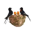 thumbnail image 2 of Nido de golondrina simulado shamjiam Decoración de Pared de Pájaros de Espuma Artificial, 2 of 8