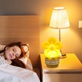 thumbnail image 1 of YSNOOWE Cute Night Light Lighting For Study Room Lamp 1Set, 1 of 6