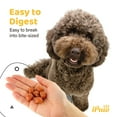 thumbnail image 6 of iPaw Dog Treats for Puppy Training, All Natural Human Grade Dog Treat, Hypoallergenic, Easy to Digest (Chicken Tots), 3 Packs, 6 of 10