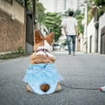 Female Dog Panties for in Season Dog Sticking Female Dog Heat Disposable Male Dog Extra Small