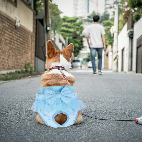 Dog Diapers Reusable Dog Diapers Female Sanitary Pants For Dog Cotton Bubble Physiological Underwear Shorts For Small Dogs