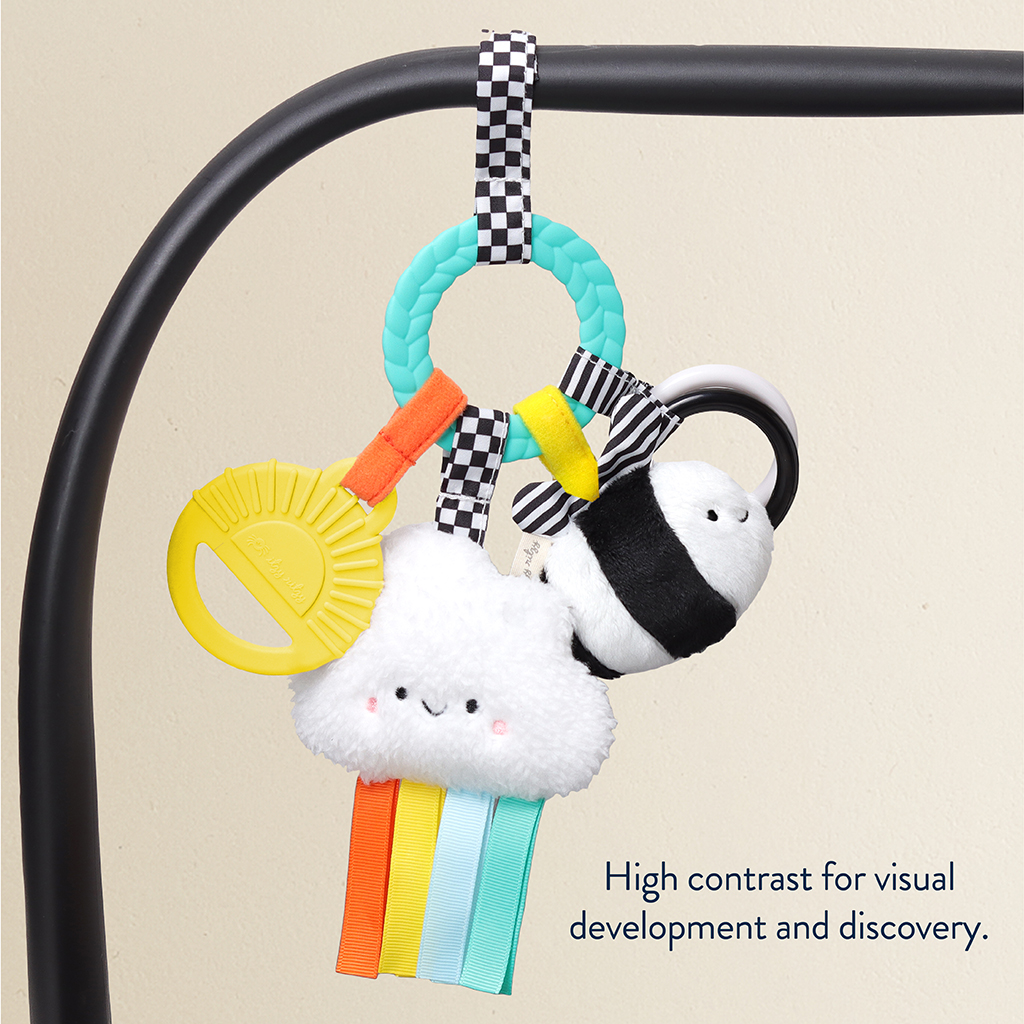 Itzy Ritzy Bitzy Busy Ring High Contrast Teething Toy photo 3