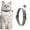 Gray, variant on PONPRNGY Puppy Collar with Bell, 1-Pack Kitten Collar Collar with Bell Nylon Soft Adjustable Buckle for Small Tiny Boy Girl Pets Females