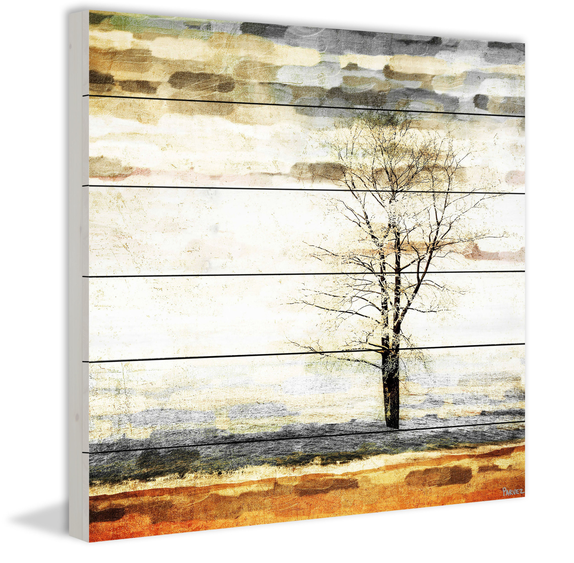 Parvez Taj Pt-Wnpw-49-Ww-40 40" x 40" "Lone Tree" Art Print On White Wood