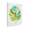 thumbnail image 2 of Trademark Fine Art 'Ocean Side Palms III' Canvas Art by Chariklia Zarris, 2 of 4