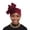 Wine, variant on Wensltd Formal Hat for Women Floral Decoration Spring Summer Fashion Elegant Vintage Party Wedding