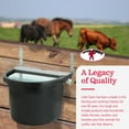 thumbnail image 6 of Little Giant 4 Gal. Float Controlled Waterer Livestock Water Trough (2 Pack), 6 of 10