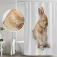 thumbnail image 3 of Rabbit Sitting on The Toilet Thinking Bathroom Shower Curtains with Hooks, Abstract Funny Animal Waterproof Fabric Washable Shower Curtain for Home Hotel Bathtub Decor 54x78 Inch, 3 of 9