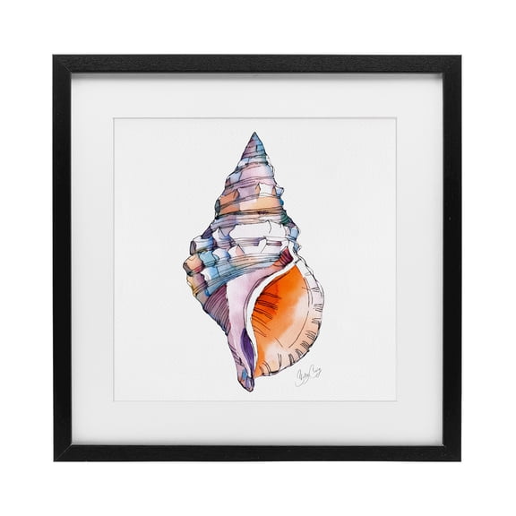 Stupell Industries Coastal Sunrise Conch Shell Black Framed Print Under Glass, 13 x 13, by Shelly Craig