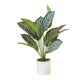 thumbnail image 1 of Planta de banyan artificial, planta en maceta blanca, regalo perfecto para inauguración de la casa., 1 of 5