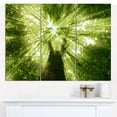 thumbnail image 2 of Design Art - Regardant à Travers un Arbre Vert, 2 of 4