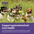 thumbnail image 5 of PRN Pharmacal Gastromate Canine IGY - Dog and Puppy Oral Probiotic Supplement to Help Support Digestive Health - With Antioxidants, Vitamins, Dietary Fiber - Salmon and Pork Flavoring - 12 mL Syringe, 5 of 7