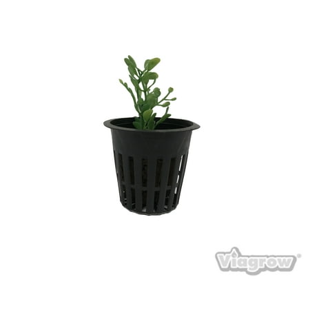 2 in. Net Pots, Round Cup with Slotted Plastic Mesh