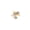 10K Yellow Gold, variant on Araiya Fine Jewelry Sterling Silver Round-shape Diamond Fashion Promise Anniversary Ring (1/10 Cttw, I-J Color, I2-I3 Clarity) Size 7