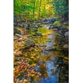 thumbnail image 2 of Gulin, Sylvia 13x18 White Modern Wood Framed Museum Art Print Titled - USA-New England-Maine Autumn and stream just off of Wild River Road, 2 of 4
