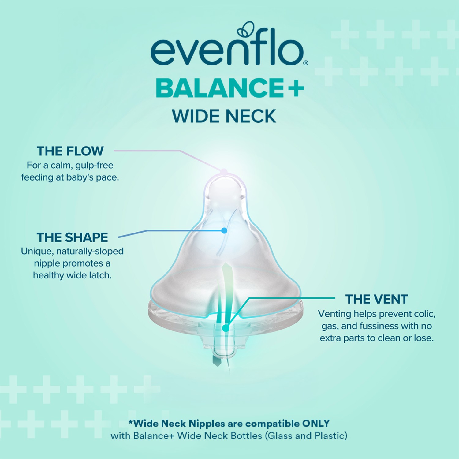 Evenflo Feeding Balance+ Wide Glass Bottle, 6 oz, 2 Pack photo 5