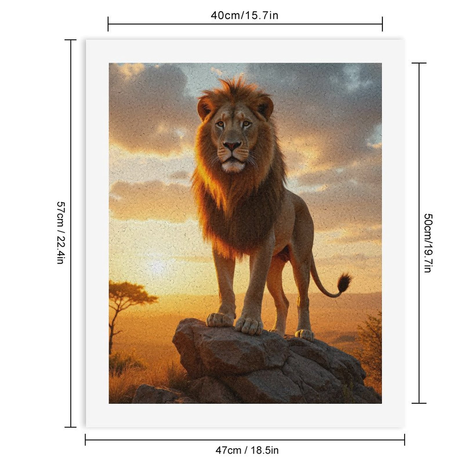 Paint by Numbers Kit for Adults, Lion Majestic Sunrise Rock Plains Paint by Numbers, Easy Paint by Numbers Kit for Adults Beginner, DIY Adult Paint by Number Kits on Canvas, Home Decor
