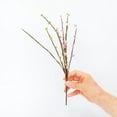 thumbnail image 6 of 3PCS Artificial Paster Pip Berry Sprays, Easter Floral Picks, Springtime Pip Berry Picks Stems for Spring Easter Crafts Floral Arrangement Wreath Decoration, 6 of 6
