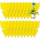 thumbnail image 1 of Trampas adhesivas amarillas para insectos, no tóxicas y seguras, para uso en interiores y exteriores, resistentes a los rayos UV y al agua, de larga duración, pegatinas para protección de plantas, 1 of 5