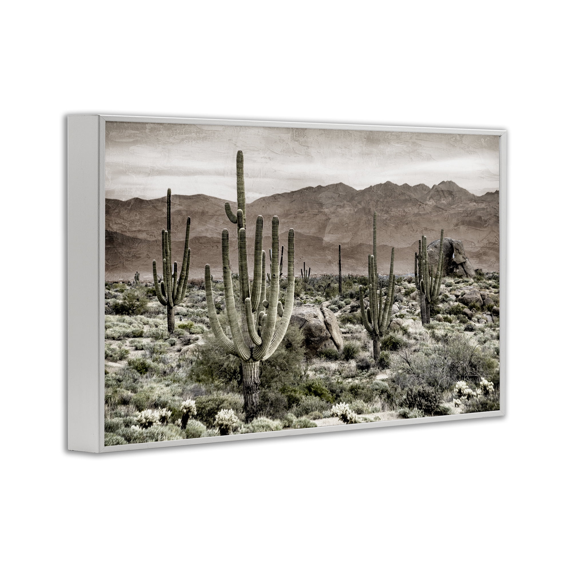 Stupell Industries Desert Land Cacti Wilderness White Framed Giclee Art, design by Kim Allen
