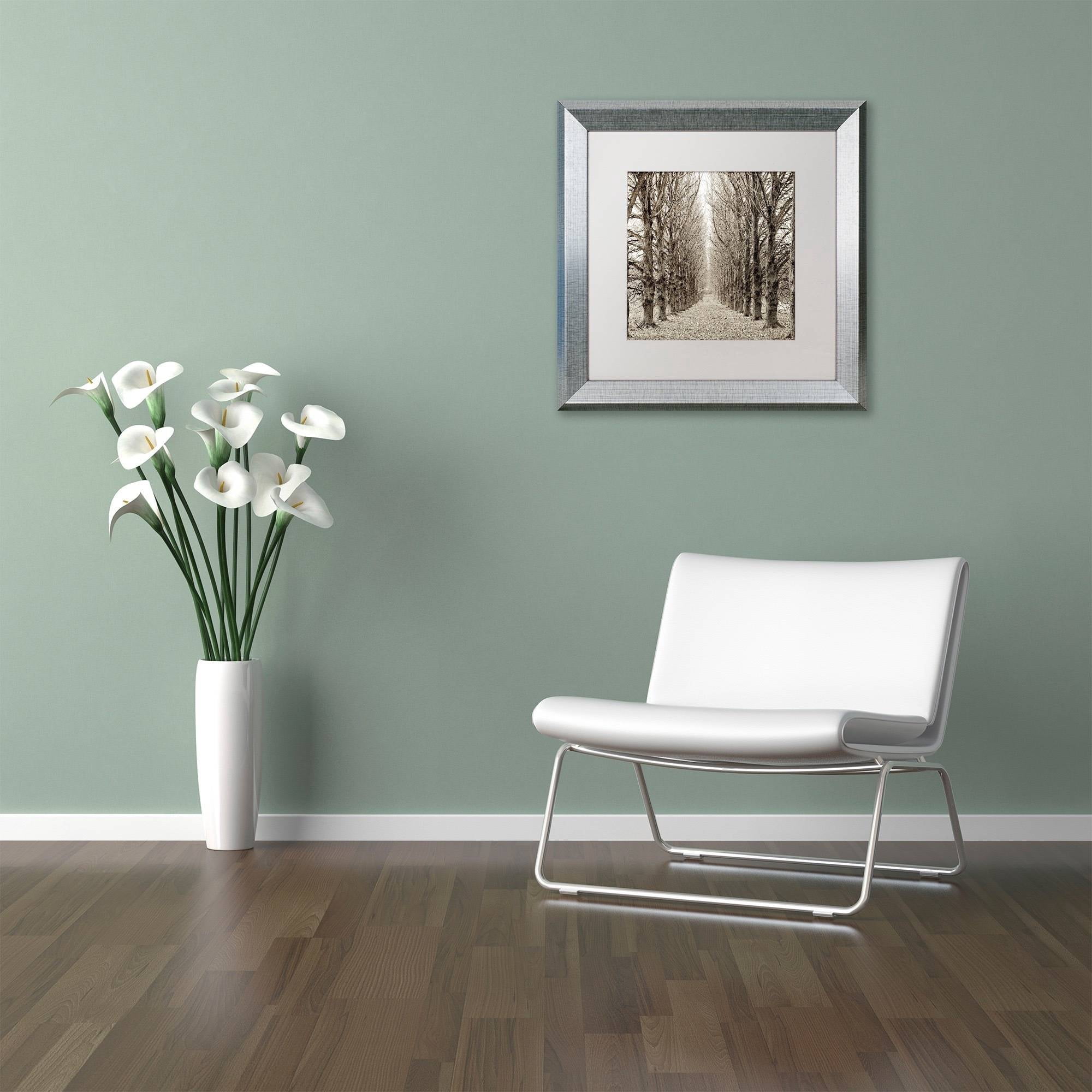 Trademark Fine Art "Hampton Gates Promenade III" Canvas Art by Alan Blaustein, White Matte, Silver Frame