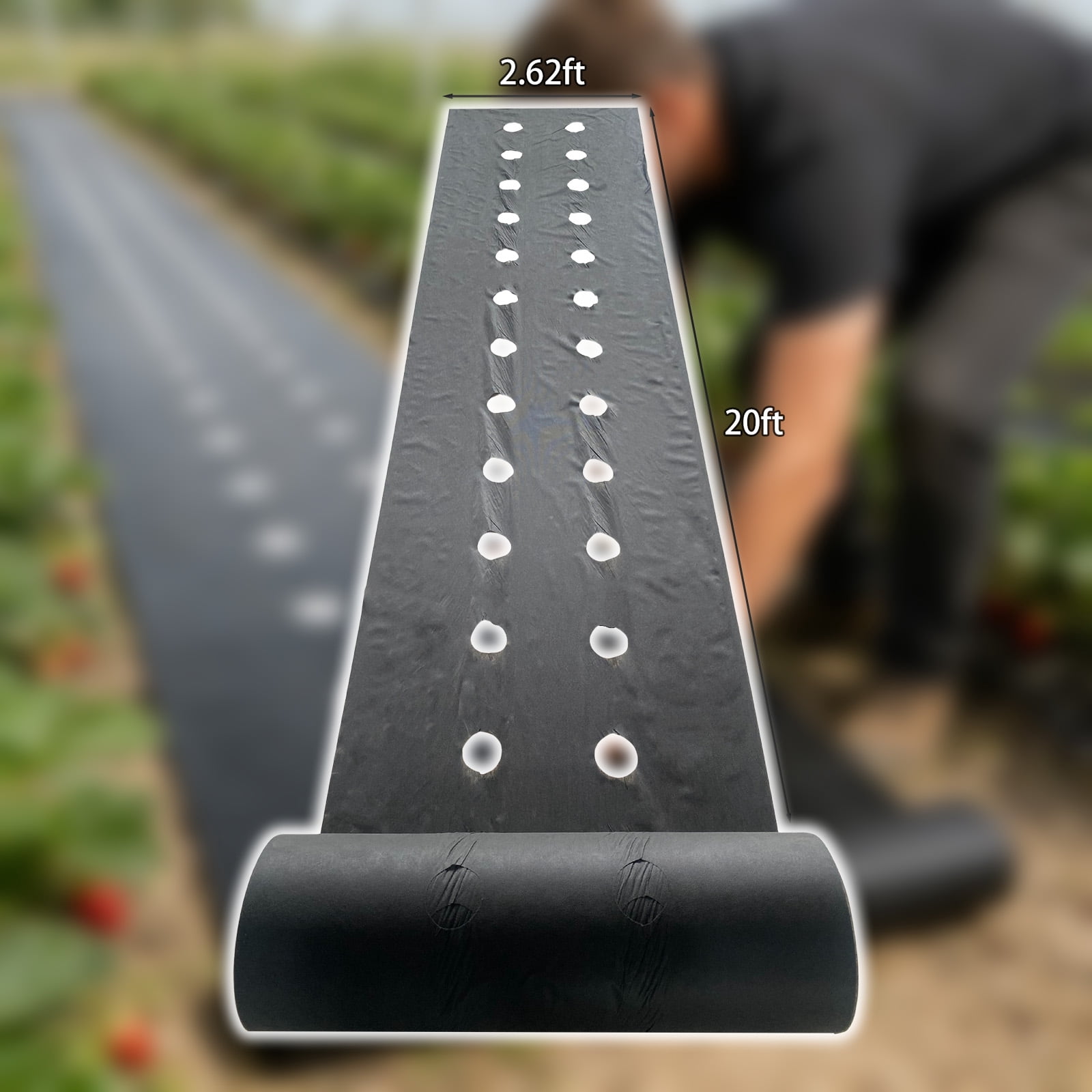 Strawberry planting perforated weed barrier fabric kit, water-permeable and breathable — this landscape fabric is used for preventing weeds in vegetable and fruit planting.