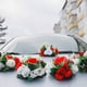 thumbnail image 4 of 10 Piezas Jaula de Espuma Floral Soporte de Flores con Espuma Floral Y Ventosa para Centro de Mesa de Boda Arreglo Floral, 4 of 5