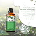 thumbnail image 2 of PHATOIL 100% Pure Tea Tree Essential Oils for Diffusers Humidifier Aromatherapy Candle Making, 30ml, 2 of 8