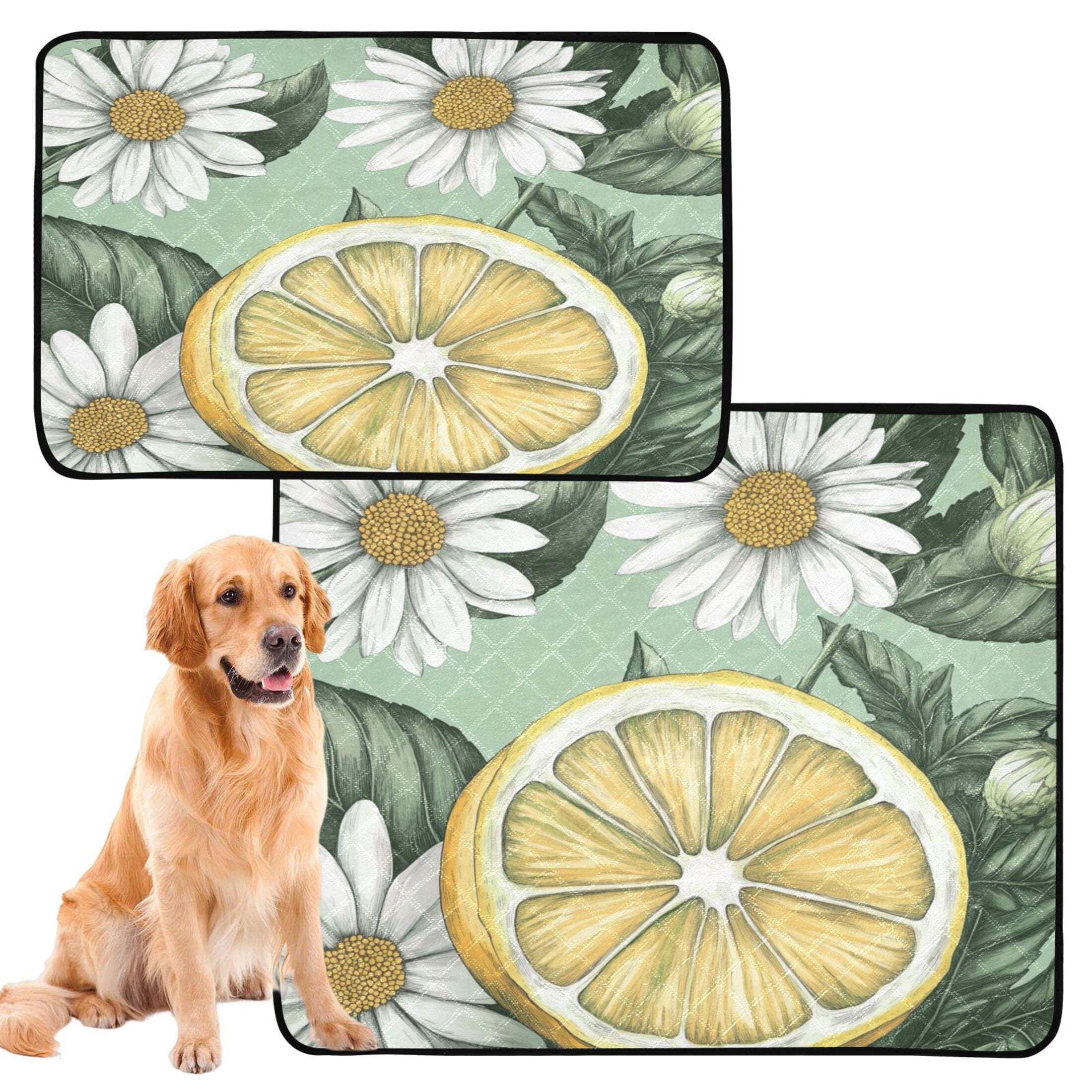 Qxltty White Daisies with Lemons Pattern Cat litter Pads Pet Set of 3 Diaper Mats Center Anti-leakage Layer Absorbent Soft and Comfortable