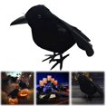 thumbnail image 2 of BNNG Halloween Black Feathered Crows, Realistic Feathered Black Birds Raven, Halloween Decoration for Indoor Outdoor Home Yard Garden Party Decor, 2 of 9