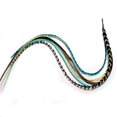 thumbnail image 1 of Extensión de plumas para cabello: turquesa, marrón, blanco y grisáceo. Cinco plumas de gallo auténticas unidas en la punta, de 20 a 25 cm. Una extensión., 1 of 1